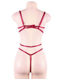 Entanglement Teddy