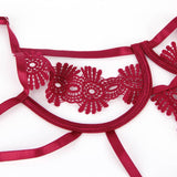 Entanglement Teddy